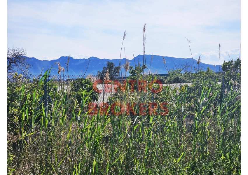 Ziemia rolna - grunt rolny w Cullera, Walencja
